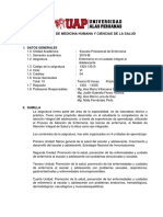 Silabo Enfermería en El Cuidado Integral Al Adolescente