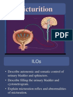 L11 Micturation