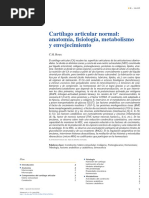 Cartílago Articular 