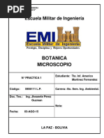 Botanica - Microscopio Biologia