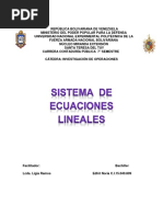 Informe Sistema de Ecuaciones Lineales