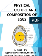 Physical Structure and Composition of Eggs