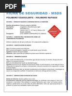 Ficha de Seguridad Polimero Catiónico Rapised v. 15112016