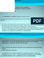 Carbohidratos PDF