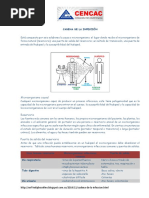 Cadena de La Infección Taller