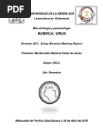 Virus Del Papiloma Humano (VPH) PDF