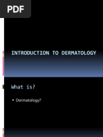 Introduction To Skin