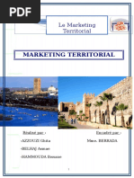 Rapport Marketing Territorial FINAL