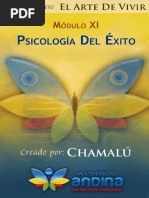 11 - Psicologia Del Exito