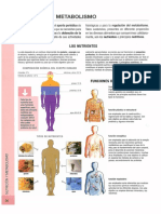 Nutricion y Metabolismo