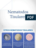 Nematodos Tisulares