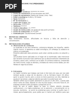 Modelo de Informe de Problemas de Aprendizaje