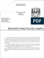 Report Campo