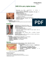 Infecciones de La Piel y Tejidos Blandos Resumen