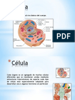 La Célula PDF