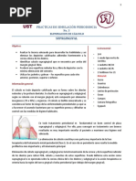 Práctica Remoción de Cálculo Supra e Infragingival