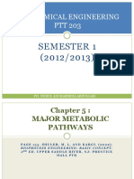 CHP 5 Major Metabolic Pathways