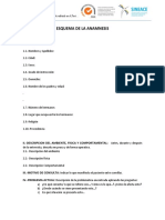 Esquema de La Anamnesis