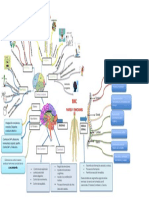 SNC Partes y Funciones Mapa Mental