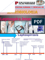 Leptopiro