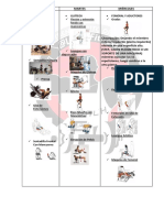 Rutina de Ejercicios