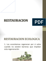 Revegetalización PDF