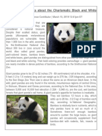 Third Grade Intensive Course - Giant Pandas