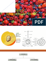 Fisiología y Desarrollo Del Fruto