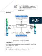 Taller Lectoescrituraconceptualdoc