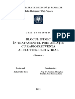 Rosu Radu Ovidiu PDF