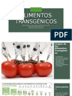 Alimentos Transgenicos