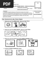 Síntesis Ciencias Naturales 1° Básico