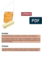 Clase1 Lipidos 2019 PDF