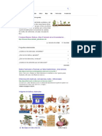 Bulbos y Tuberculos - Buscar Con Google PDF