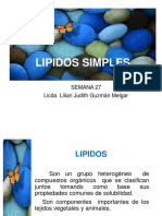 27 Lipidos Simples