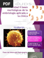 2.1 Contenidos de Las Bases Morfologicas de La Embriologia