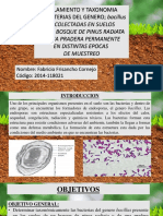 AISLAMIENTO Y TAXONOMIA DE BACTERIAS DEL GENERO Bacillus RECOLECTADAS EN SUELOS DE UN BOSQUE DE PINUS RADIATA Y UNA PRADERA PERMANENTE EN DISTINTAS EPOCAS DE MUESTREO