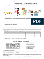 Aparato Digestivo Con Metodo Cientifico