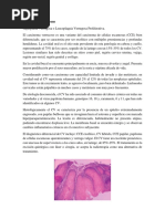 Carcinoma Verrucoso