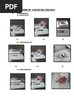 Informe de Cortes de Pescado