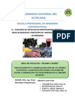 Proyecto de Mashua PDF