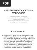 Cabidad Toracica y Sistema Respiratorio