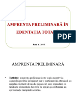 Amprenta Preliminara