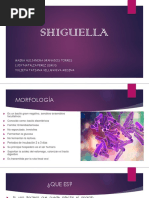 Shigella