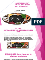 Absorción, Metabolismo y Homeostasis Del Zinc en