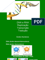 DNA e RNA PDF