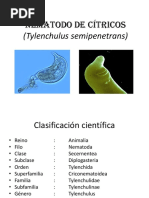 Nemátodo de Los Citricos y Del Bulbo