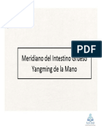 14 - Meridiano Del Intestino Grueso Yangming de La Mano