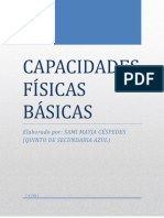 Esquema Trabajo de Capacidades Básicas