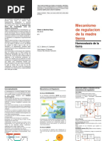 Qué Es Homeostasis de La Tierra